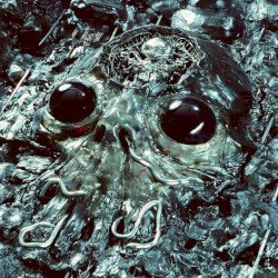 Alien Metal Cover