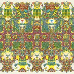 Butterfly 3000 Cover