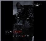 Nightglory Cover