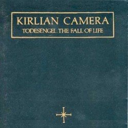 Todesengel. The Fall of Life Cover