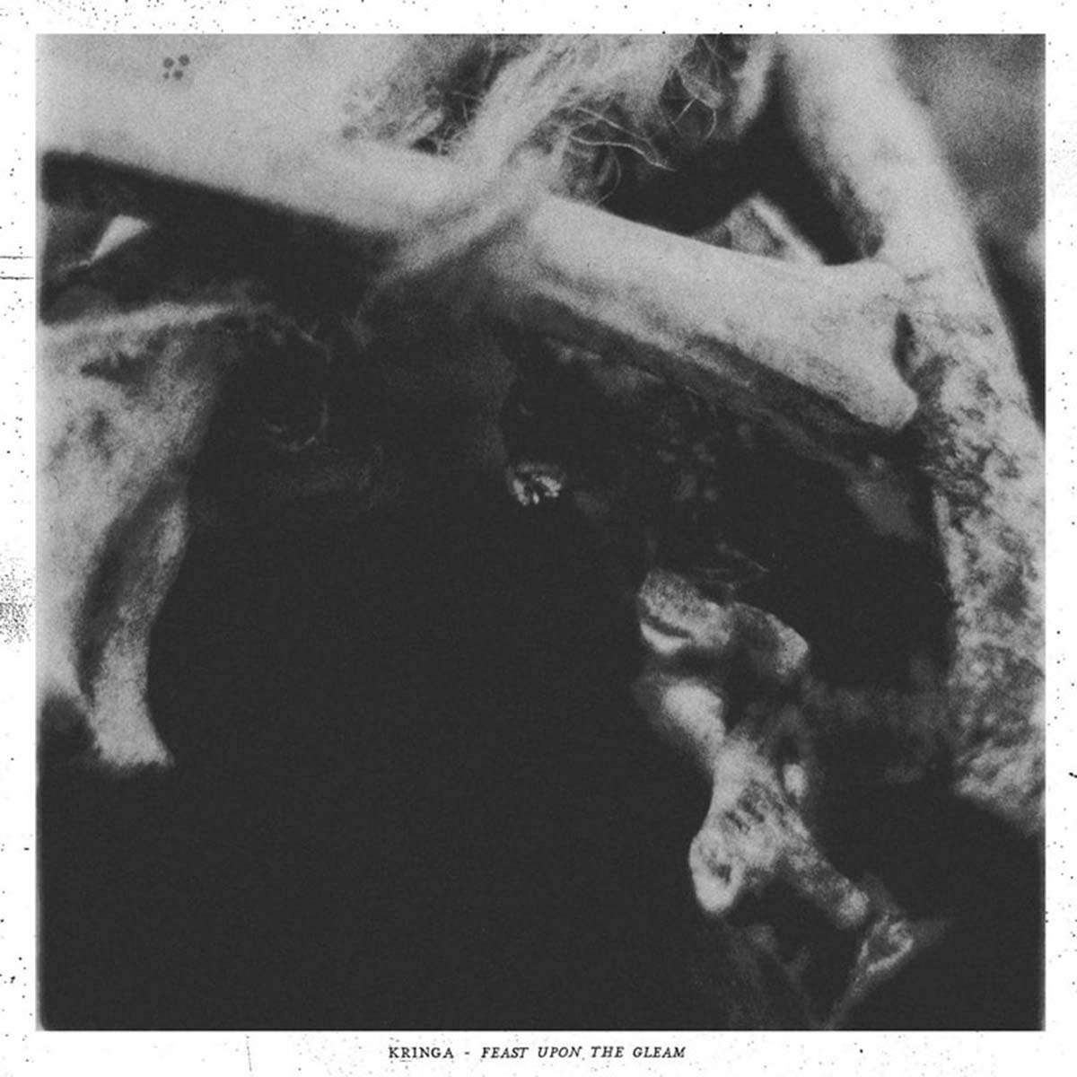 Feast Upon The Gleam Cover