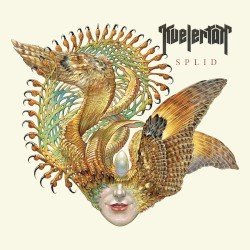 Splid Cover