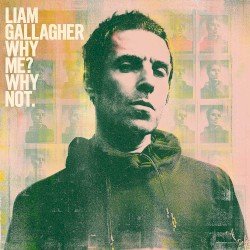 Why Me? Why Not. Cover
