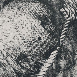 Swept in Black Cover
