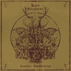Cosmic Awakening Cover