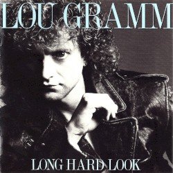 Long Hard Look Cover