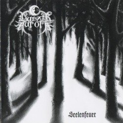 Seelenfeuer Cover