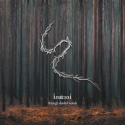 Through Shaded Woods Cover
