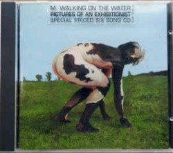 Pictures of an Exhibitionist Cover