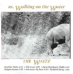 The Waltz Cover