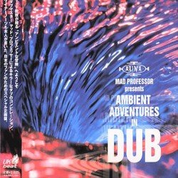 Ambient Adventures in Dub Cover