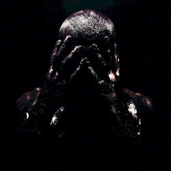 The Pain Behind It All Cover