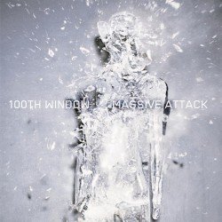 100th Window Cover