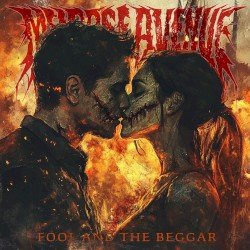 Fool and the Beggar Cover