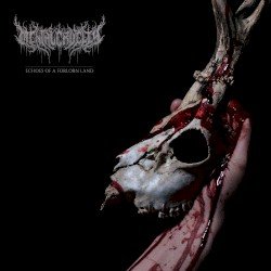 Echoes of a Forlorn Land Cover