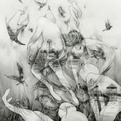 The Last Dawn Cover