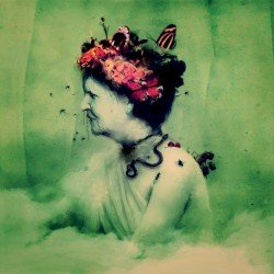 Empress Rising Cover