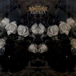 Amnesia Cover