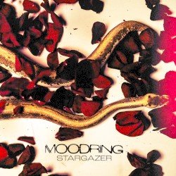 Stargazer Cover