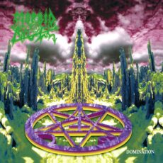 Domination Cover