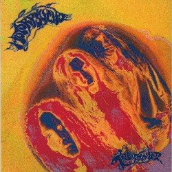 Lobotomizer Cover