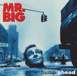 Bump Ahead Cover
