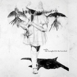 The Bungled & The Botched Cover