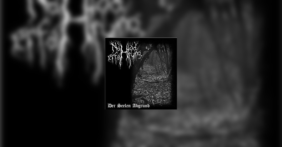 Der Seelen Abgrund Cover