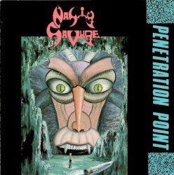 Penetration Point Cover