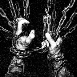 Within The Viscera Cover