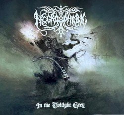 In the Twilight Grey Cover