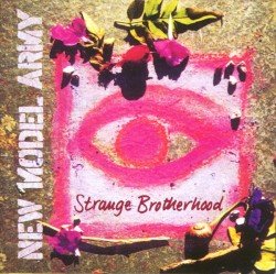 Strange Brotherhood Cover