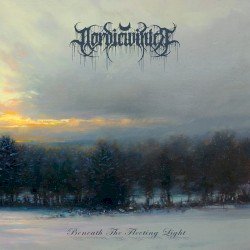 Beneath the Fleeting Light Cover