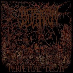 Perpetual Decay Cover