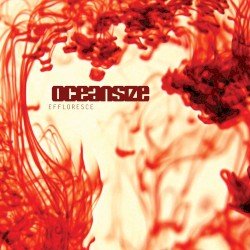 Effloresce Cover