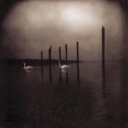 Conference of the Birds Cover