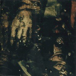 Mestarin kynsi Cover