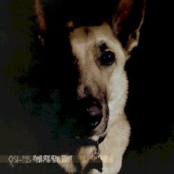 Halls of the Wolf Cover