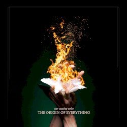 The Origin of Everything Cover