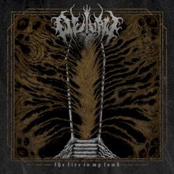 The Fire in My Tomb Cover