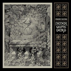 Never Quite Dead Cover