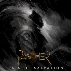 Panther Cover