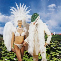 Alligator Farm Cover