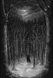 Im Wald Cover