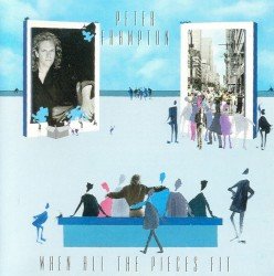 When All the Pieces Fit Cover