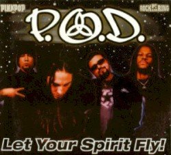 Let Your Spirit Fly! Cover