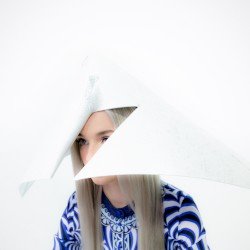 Poppy.Computer Cover