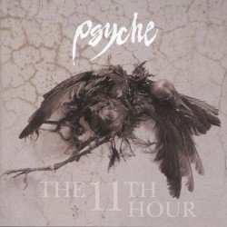 The 11th Hour Cover