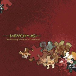 Our Puzzling Encounters Considered Cover