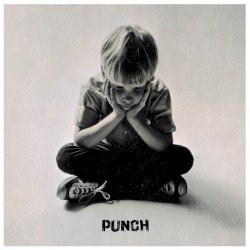 Punch Cover